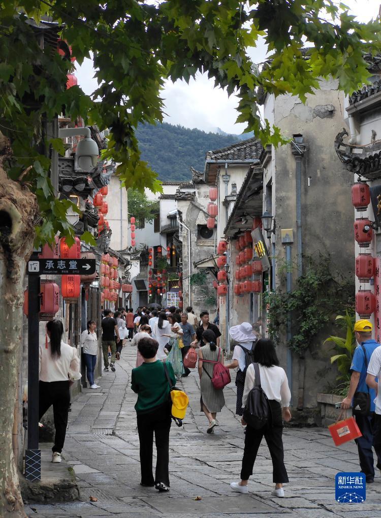 免费=彩金白菜网